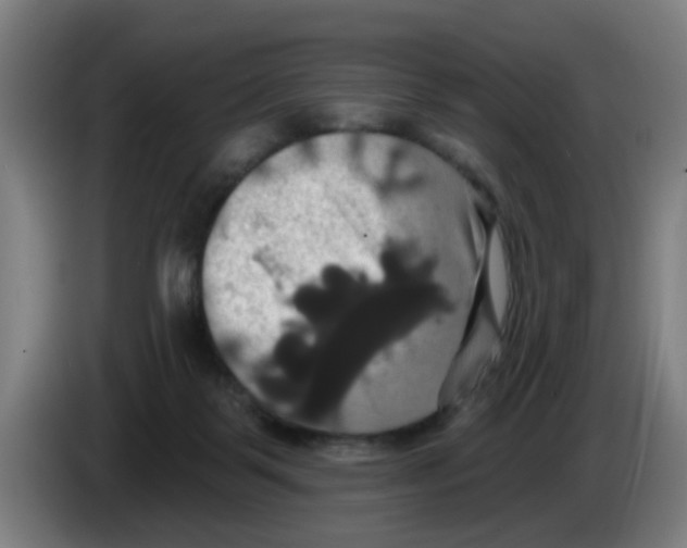 X0000086220123200704261844