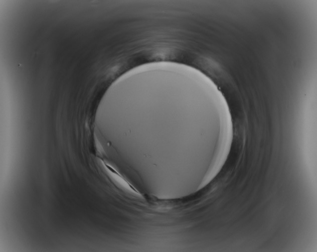 X0000086220127200704261844