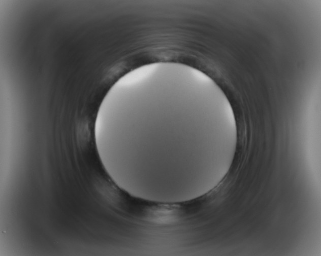 X0000086220128200704261844