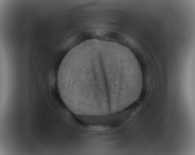 X0000086220129200704261844