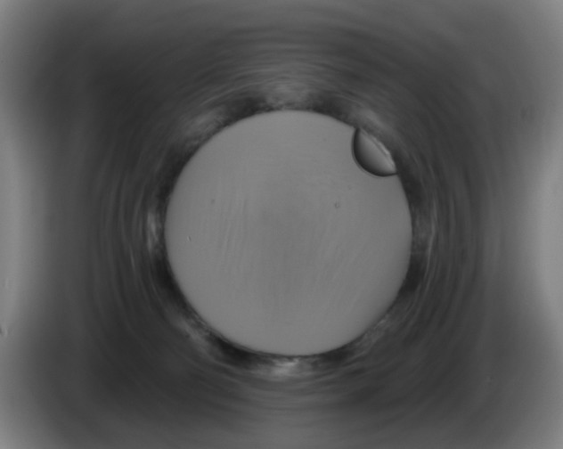 X0000086220130200704261844