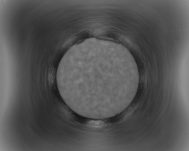 X0000086220133200704261844