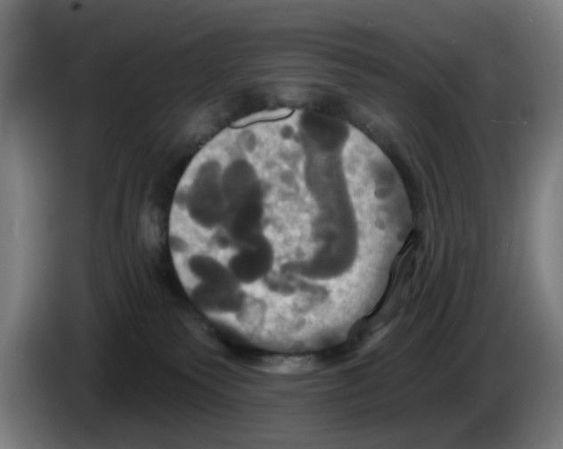 X0000086220135200704261844