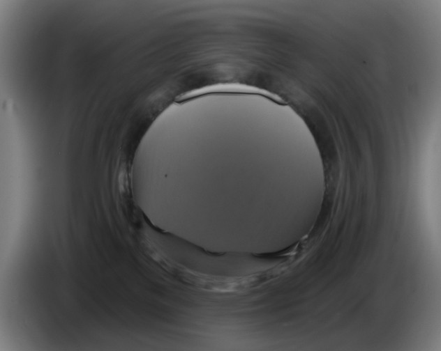 X0000086220137200704261844