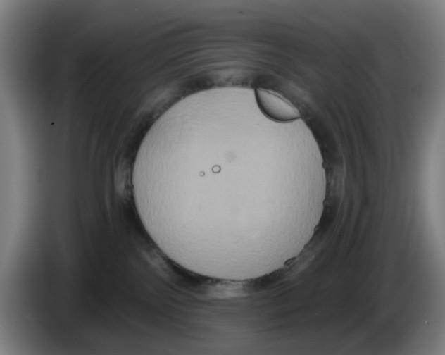 X0000086220138200704261844