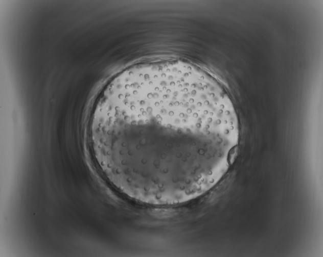 X0000086220145200704261843