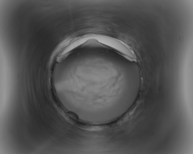 X0000086220149200704261843