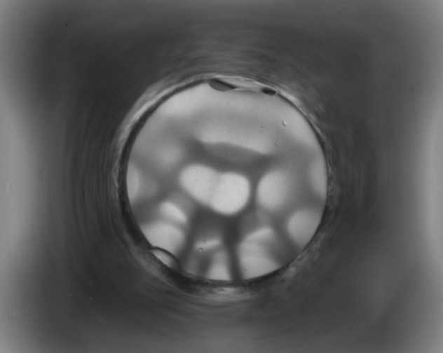 X0000086220151200704261843