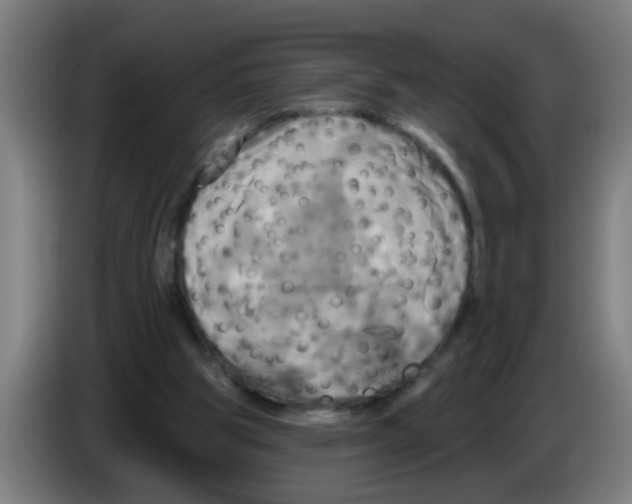 X0000086220153200704261843