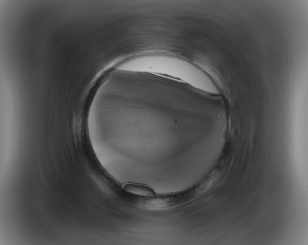 X0000086220156200704261843