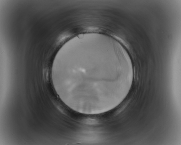 X0000086220157200704261843