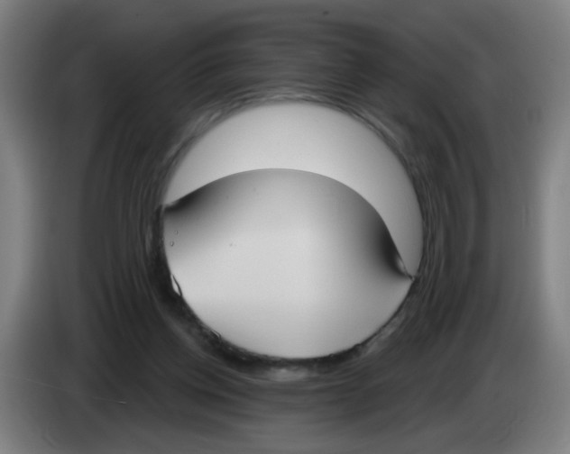 X0000086220158200704261843