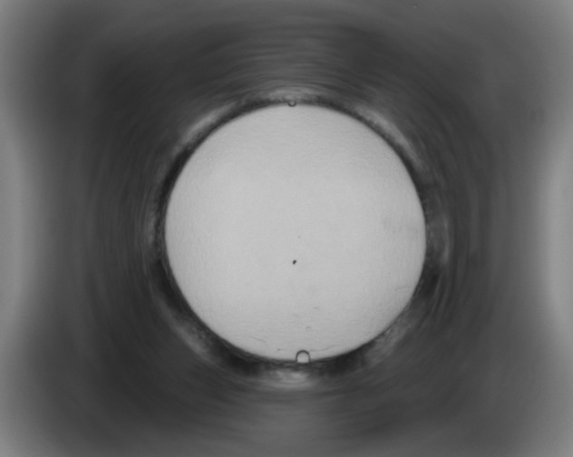 X0000086220159200704261843