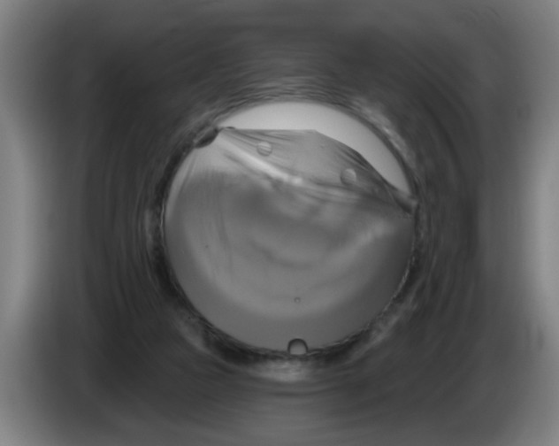 X0000086220161200704261843