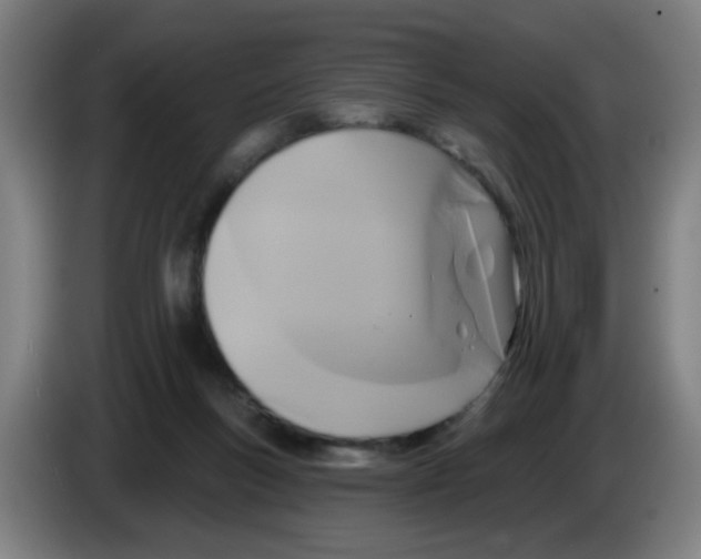 X0000086220167200704261843