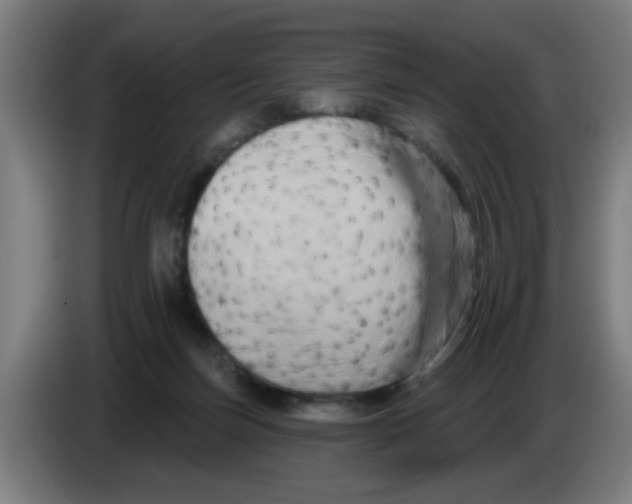 X0000086220171200704261843