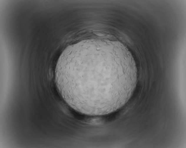 X0000086220173200704261843