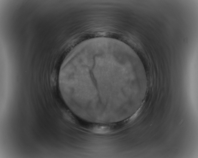 X0000086220174200704261843