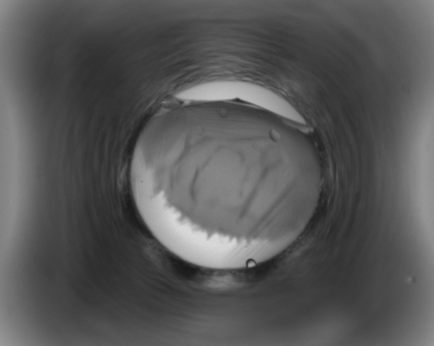 X0000086220177200704261843