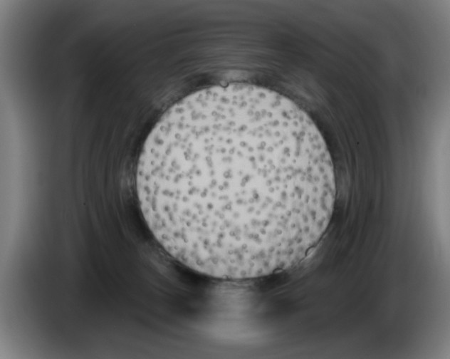 X0000086220179200704261843