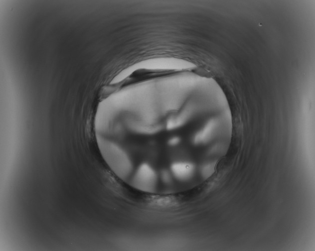 X0000086220185200704261843