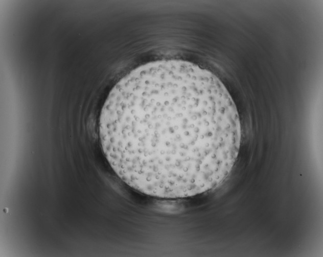 X0000086220187200704261844