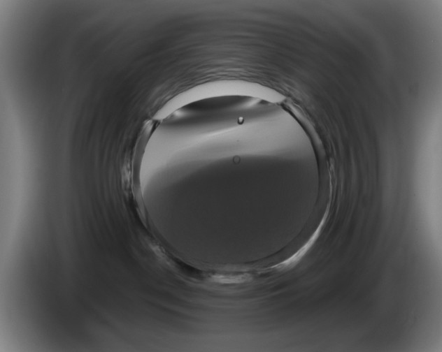 X0000086220190200704261844