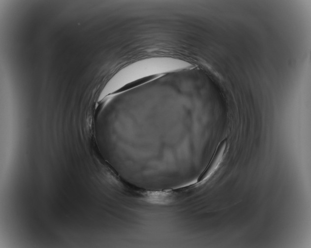 X0000086220192200704261844