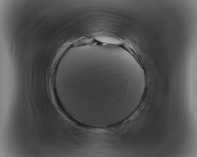 X0000086220193200704261843