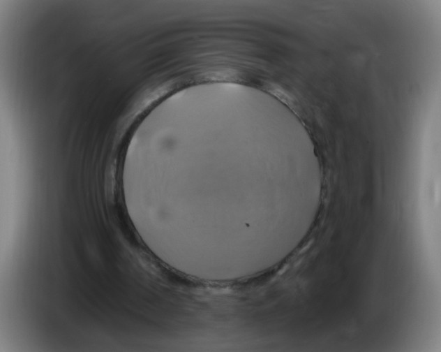 X0000086220194200704261843