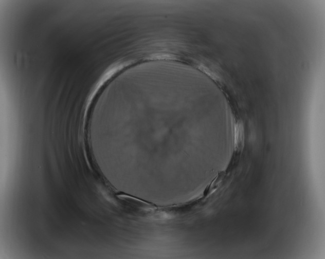 X0000086220195200704261843