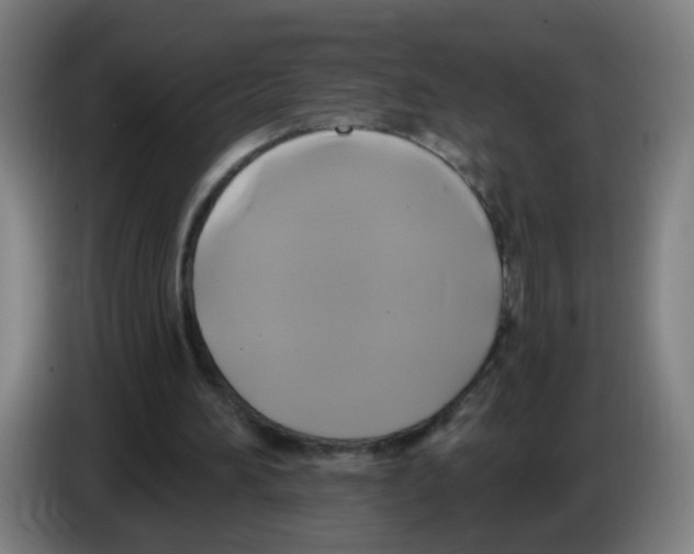 X0000086220196200704261843