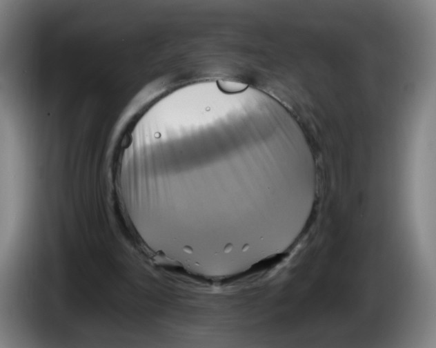 X0000086220198200704261843