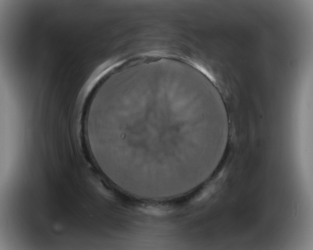 X0000086220199200704261843