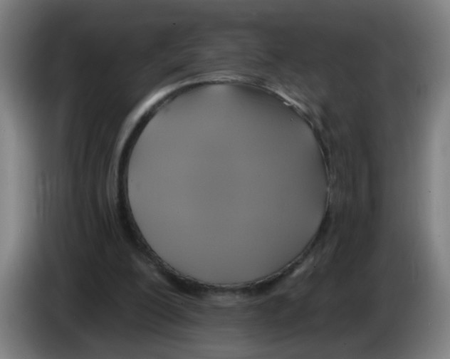 X0000086220200200704261843