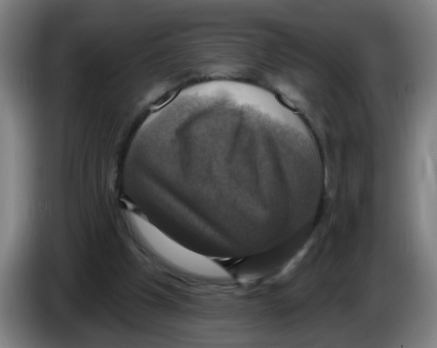 X0000086220201200704261843