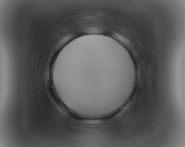 X0000086220202200704261843