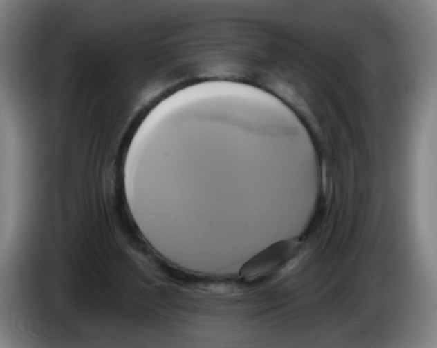 X0000086220204200704261843