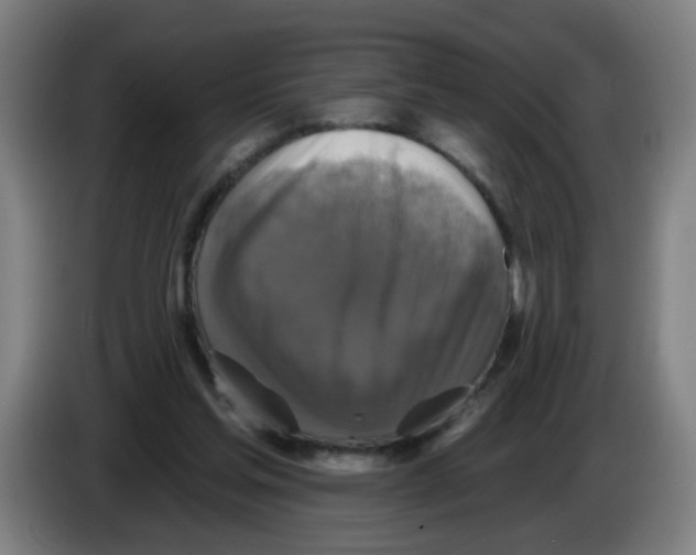 X0000086220205200704261843