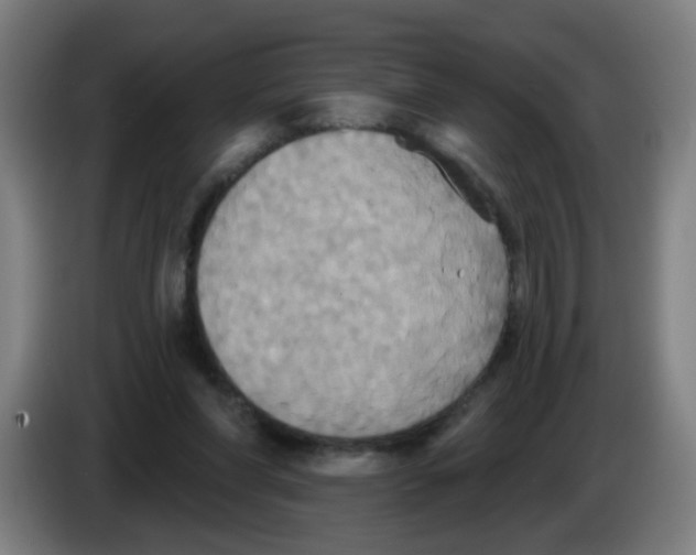 X0000086220206200704261843