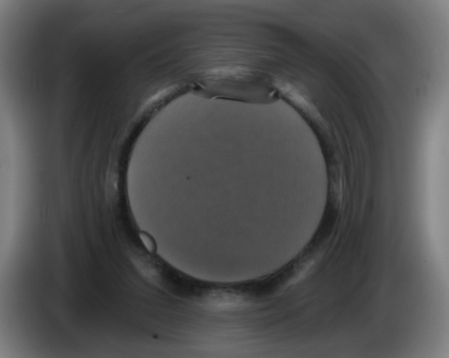 X0000086220207200704261843