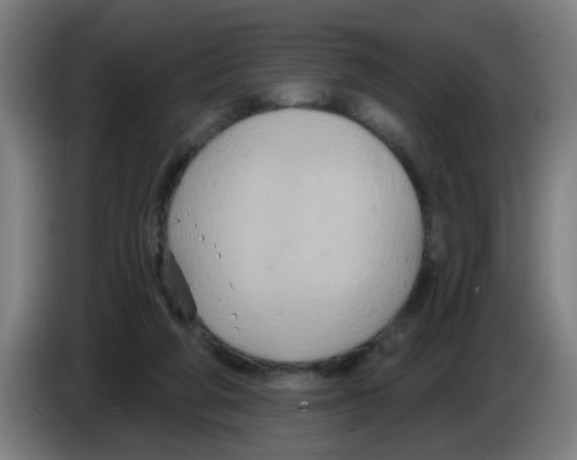 X0000086220210200704261843