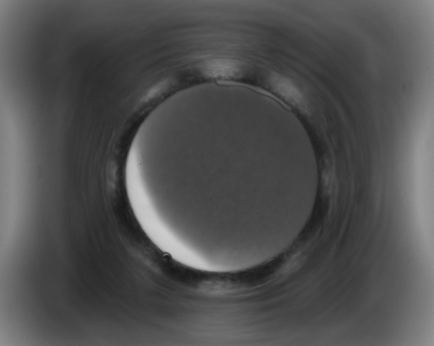 X0000086220211200704261843