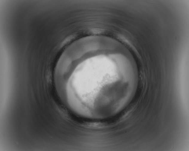 X0000086220212200704261843