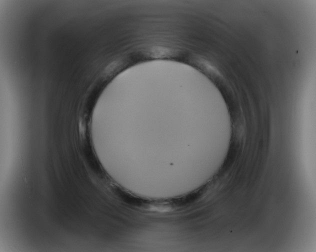 X0000086220214200704261843