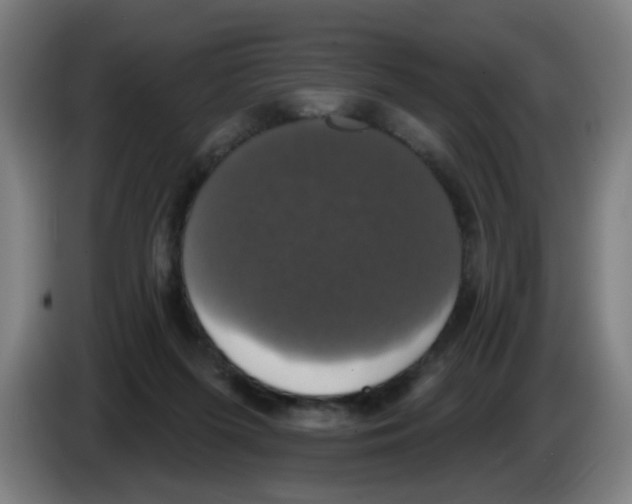 X0000086220215200704261843