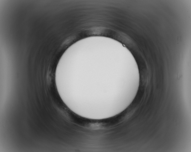 X0000086220216200704261843