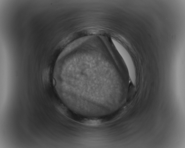 X0000086220217200704261843