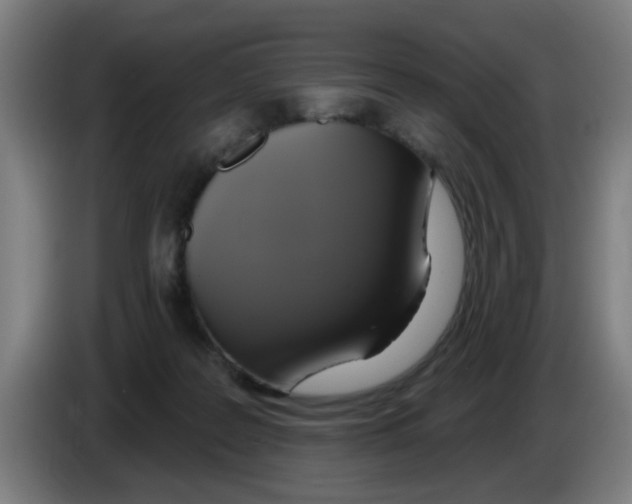 X0000086220219200704261843