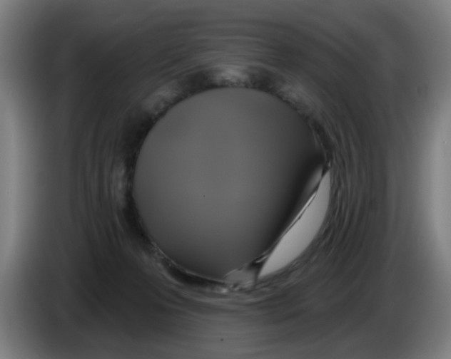 X0000086220223200704261843